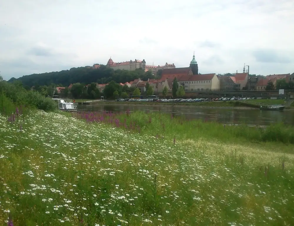 Schloss Sonnenstein in Pirna