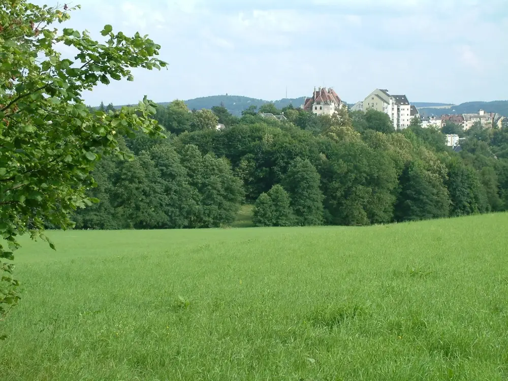 Blick auf Plauen
