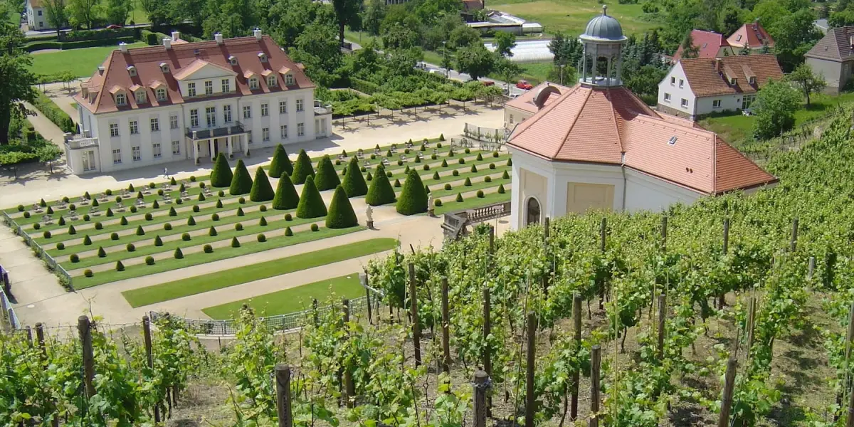 Blick auf Schloss Wackerbarth in Radebeul